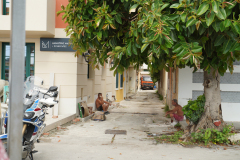 DSC03155