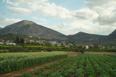 DSC03355