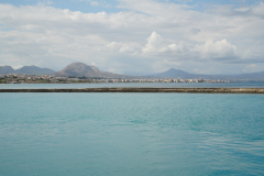 DSC03445