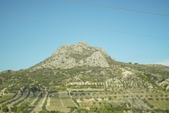 DSC03463