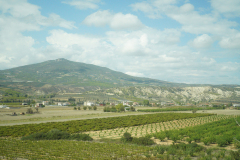 DSC03466