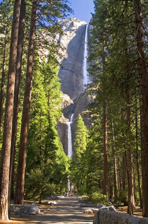Added Yosemite and Sequoia National Parks Gallery To USA California Album