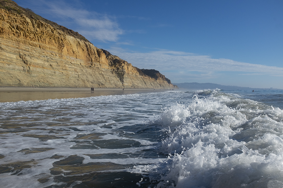 Added Torrey Pines Beach and Park Gallery to San Diego Album