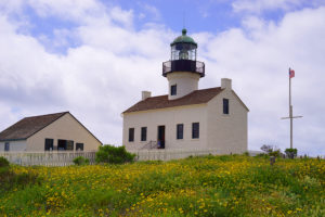 Spring Flowers At Point Loma Lighthouse And Torrey Pines Beach
