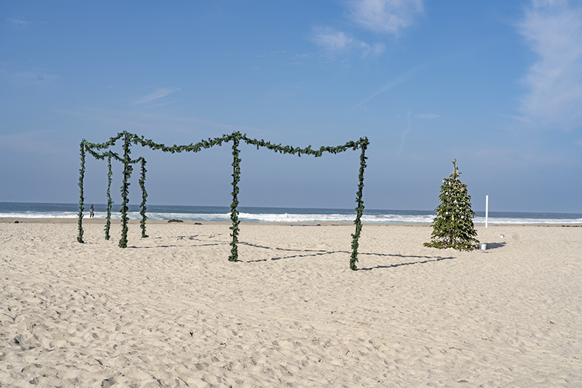 Christmas Tree Mission Beach Dec 29 2023
