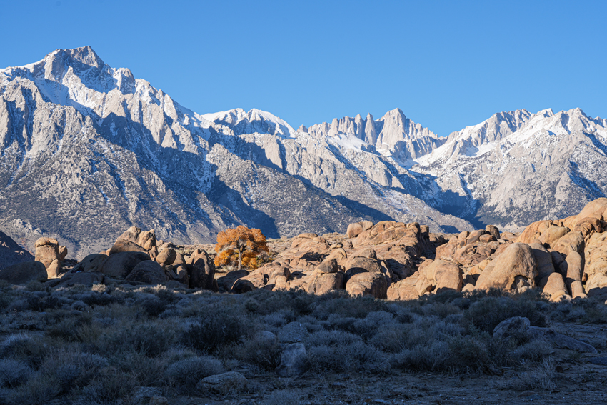 Hwy 395 – Randsburg to Mt. Whitney 2025